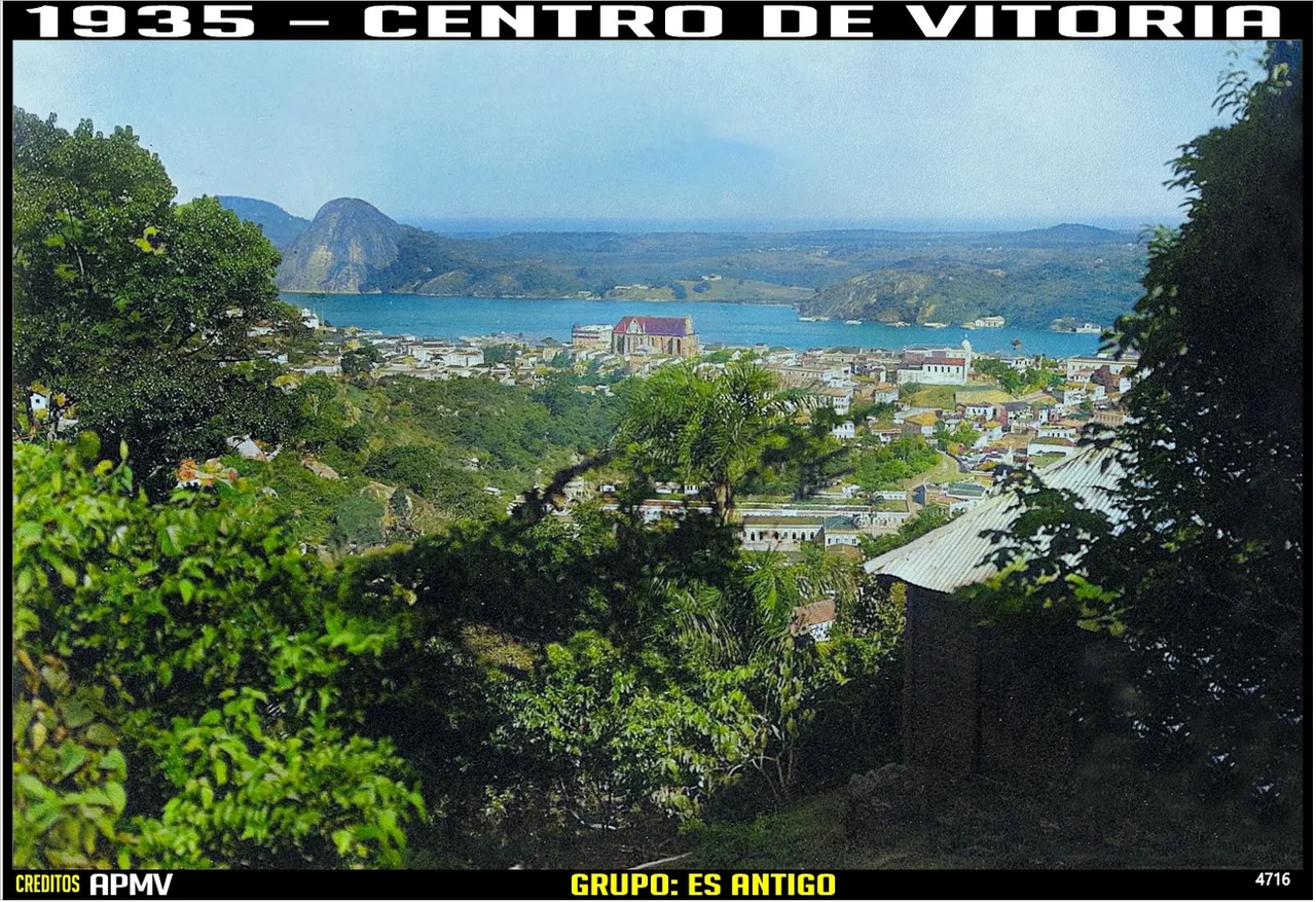 O casario do Centro e o porto